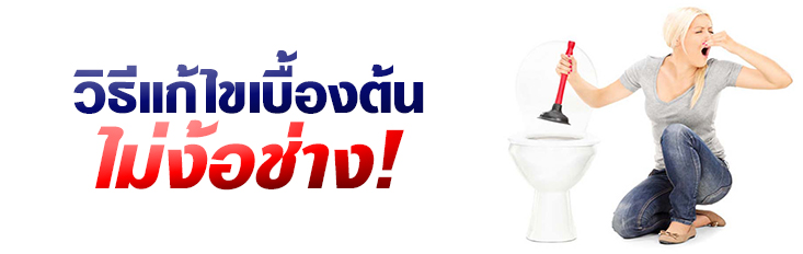 แก้ไขเบื้องต้น